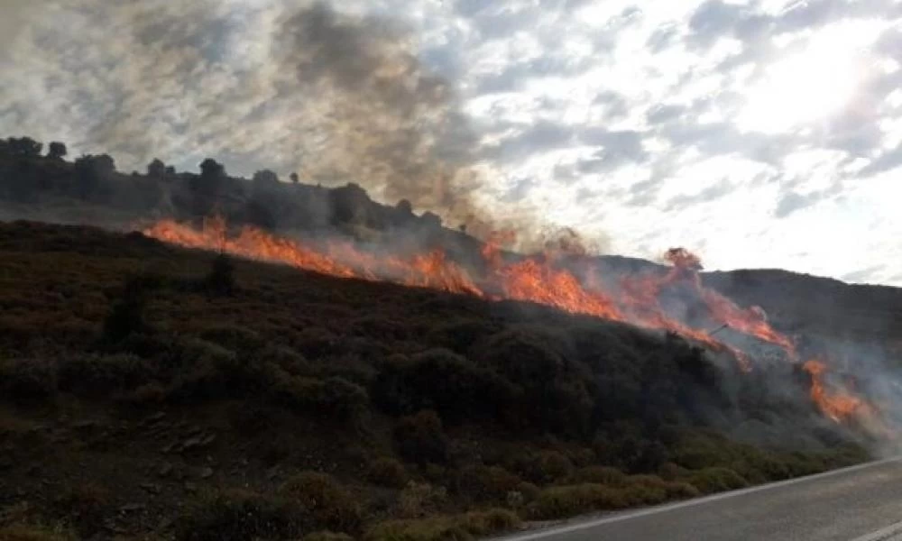 Συναγερμός στην Πυροσβεστική: Φωτιά ξέσπασε στη Μεσσηνία